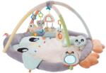 Playgro - Pătură de joacă Penguin de lux (018768178)