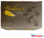 WEBER S Rajzszeg WEBER'S nikkel 100 darabos