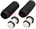ASHIKA Kit protectie praf, amortizor ASHIKA 159-00-0946 (159-00-0946)