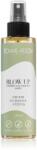 Tomas Arsov Blow-up thermo-volumizing spray volumizant pentru uscarea prin suflare și coafatul final al părului 150 ml