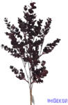  Eukaliptuszos műzöld csokor 54cm - Barna