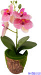  Mohás cserepes orchidea 28 cm - Cirmos Rózsaszín