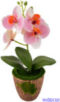  Mohás cserepes orchidea 28 cm - Halvány Rózsaszín
