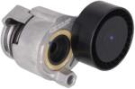 KAMOKA Intinzator curea, curea distributie KAMOKA R0630 (R0630)