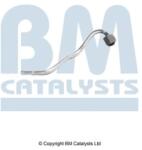 Bm Catalysts Conducta de presiune, senzor de presiune (filtru particule) BM CATALYSTS PP11256A (PP11256A)