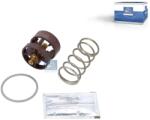 DT Spare Parts Termostat, racire ulei DT Spare Parts 5.00695 (5.00695)