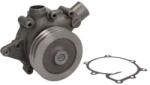 THERMOTEC Pompa apa, racire motor THERMOTEC WP-RV114 (WP-RV114)
