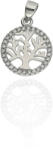 Fine Silver AG125219 - Ezüst medál (AG125219)