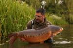 Dynamite Baits COMPLEX-T Boilies 1kg/26mm (DY1206)