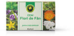 Hypericum Plant Ceai Flori Fan 20 plicuri