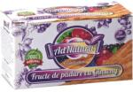 AdNatura Ceai Fructe Padure Ginseng 20 plicuri