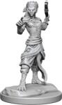 WizKids Dungeons & Dragons Nolzurs Marvelous Miniatures: Shifter Fighter (634482904077) Figurina