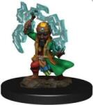 WizKids Pathfinder Battles: Premium Painted Figure - Gnome Sorcerer Male (634482775103) Figurina