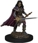 WizKids Pathfinder Battles: Premium Painted Figure - Human Bard Female (634482775097) Figurina