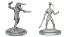 WizKids Dungeons & Dragons Nolzurs Marvelous Miniatures: Mummies (634482906491) Figurina