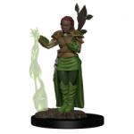 WizKids Dungeons & Dragons Icons of the Realms Premium Figures: Human Female Druid (634482930090) Figurina