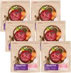 ONE Mini/small Sensitive salmon & rice 6x1,5 kg