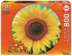 Educa Puzzle rotund 800 piese Girasol Round Puzzle 19034 EDUCA (8412668190344) Puzzle