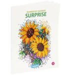 Europrice Carte de colorat Number by number Surprize 4 (5601795014019) Carte de colorat