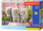Castorland Puzzle 300 piese Trei Pisicute Gri 30330 (5904438030330) Puzzle