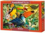 Castorland Puzzle 3000 piese Interlude 300433 (5904438300433) Puzzle
