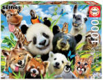 Educa Puzzle 1000 piese Llama Drama Selfie 18117 (8412668181175) Puzzle