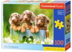 Castorland Puzzle 100 piese Cute Dachshunds Castorland 111213 (5904438111213) Puzzle