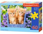 Castorland Puzzle 60 piese Ginger Kittens Castorland 66247 (5904438066247) Puzzle
