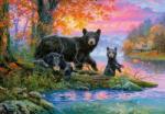 Castorland Puzzle 1000 piese Bears Castorland 104727 (5904438104727) Puzzle