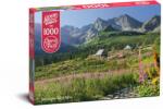 Timaro Puzzle 1000 piese Casienicova Hall In, Tatras 30059 Cherry Pazzi (5903728730059) Puzzle