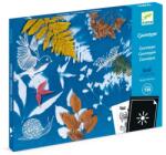 DJECO Atelier de creatie Cianotip, Djeco (BO-DJ09339)
