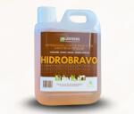 Lantania Impermeabilizant pentru blaturi din piatra - Hidrobravo 1 litru