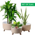 ginzamaison Set 3 Ghivece, ginzamaison, model ELITE, 3 Picioare Pliabile, Forma Rotunda, Suport interior pentru Drenaj, Culoare Crem, Diametru: 1x15 cmm, 1x18 cm, 1x22 cm (GNZ-ALY-641-C)