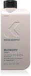 KEVIN.MURPHY Blow. Dry Wash sampon hranitor petru par fragil si fara vlaga 250 ml