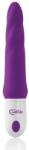 Wellife Vibrator FANTASY S022 Vibrator