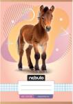 Nebulo Nebulo: Paci mintás kockás füzet A/5 27-32 (NR-AM-A5-12347094) - innotechshop