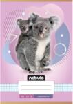 Nebulo Nebulo: Koalák mintás kockás füzet A/5 27-32 (NR-AM-A5-12347100) - innotechshop