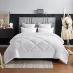 WAVVE téli paplan 450 gsm mikroszálas - fehér - 240x260 cm