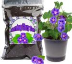 GOTVUGE Organic Morning Glory virágföld - 10 l