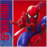 Marvel Pókember Spidey kéztörlő, arctörlő, törölköző 30x30 cm Nr 05