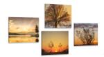 Dovido Set tablouri natura încăntătoare - 4x 60x60