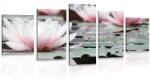 Dovido Tablou 5-piese floare de lotus - 200x100