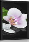 Dovido Poszter zen kövek és orchidea - 60x90 white