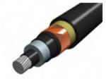 Cabluri Cablu medie tensiune aluminiu (N)A2XS(FL)2Y 1x150RM 25 12 20kV (EL0033344)
