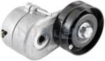 SNR Intinzator curea, curea distributie SNR GA385.00 (GA385.00)