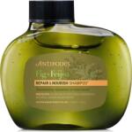 Antipodes Fig + Feijoa Repair & Nourish sampon - 340 ml