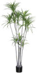 Pottery Pots Realisztikus műnövény Dracaena marginata, XL méret - ø 50 cm | m. 230 cm - PotteryPots
