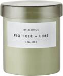 blomus Lumânare parfumată Valoa Agave Green L (65296)