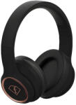Berlinger Haus Black Rose Collection (FTV-0019) Casti
