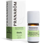 Pranarom Fogpiszkálófű - ammi visnaga 5 ml